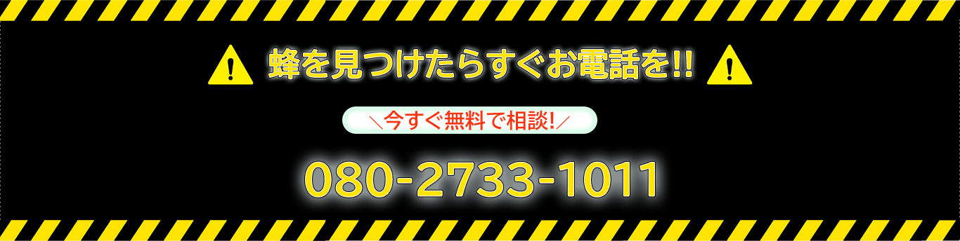 080-2733-1011