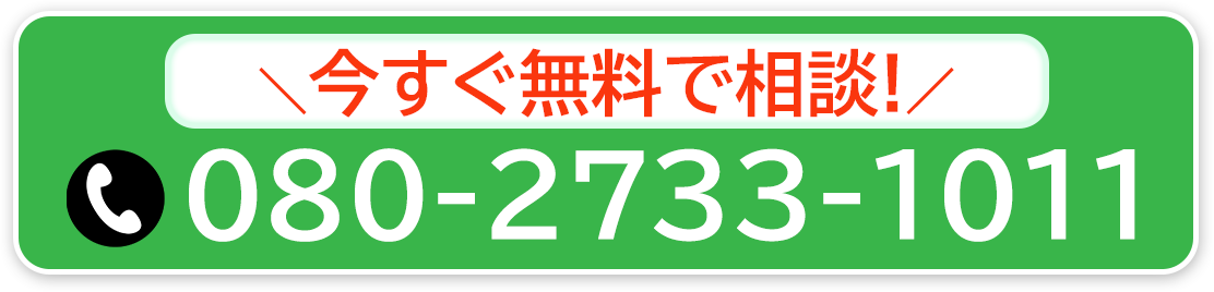 080-2733-1011