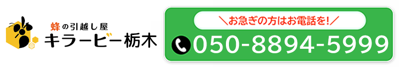 050-8894-5999