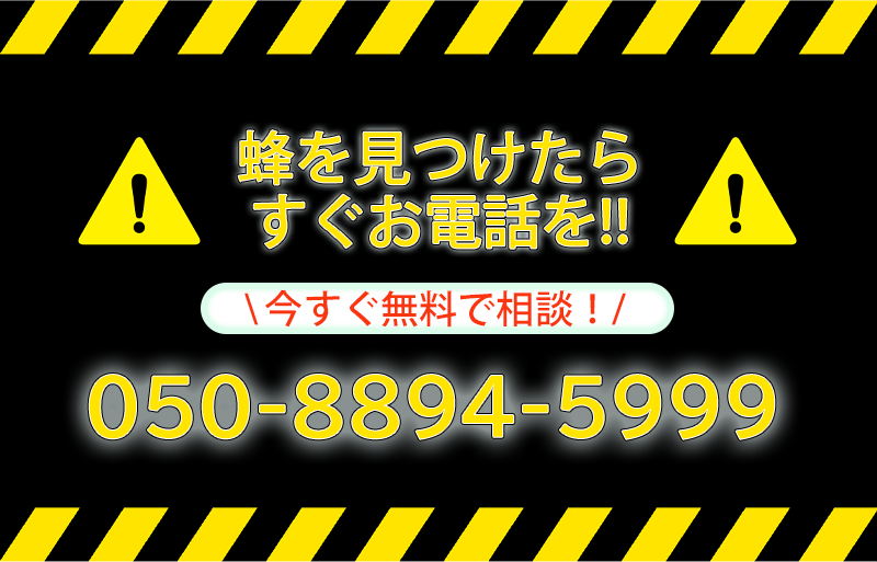 050-8894-5999