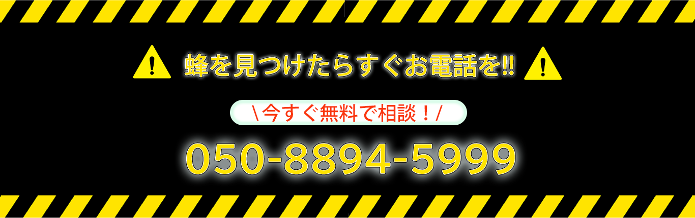 050-8894-5999
